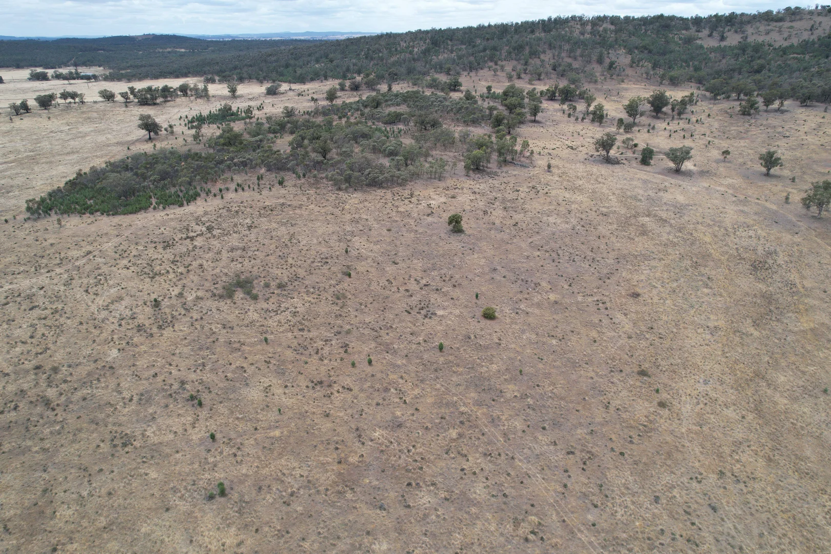 Additional image 19 of 76 Kerrs Lane, Caragabal NSW 2810