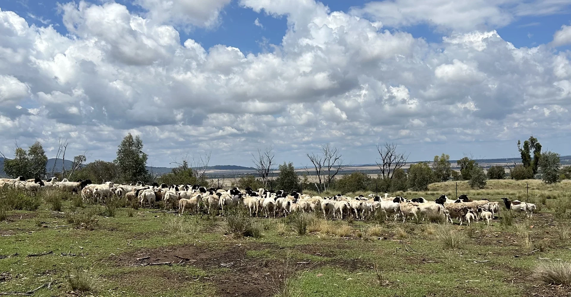 Additional image 13 of 2381. Killarney Gap Road, Narrabri NSW 2390
