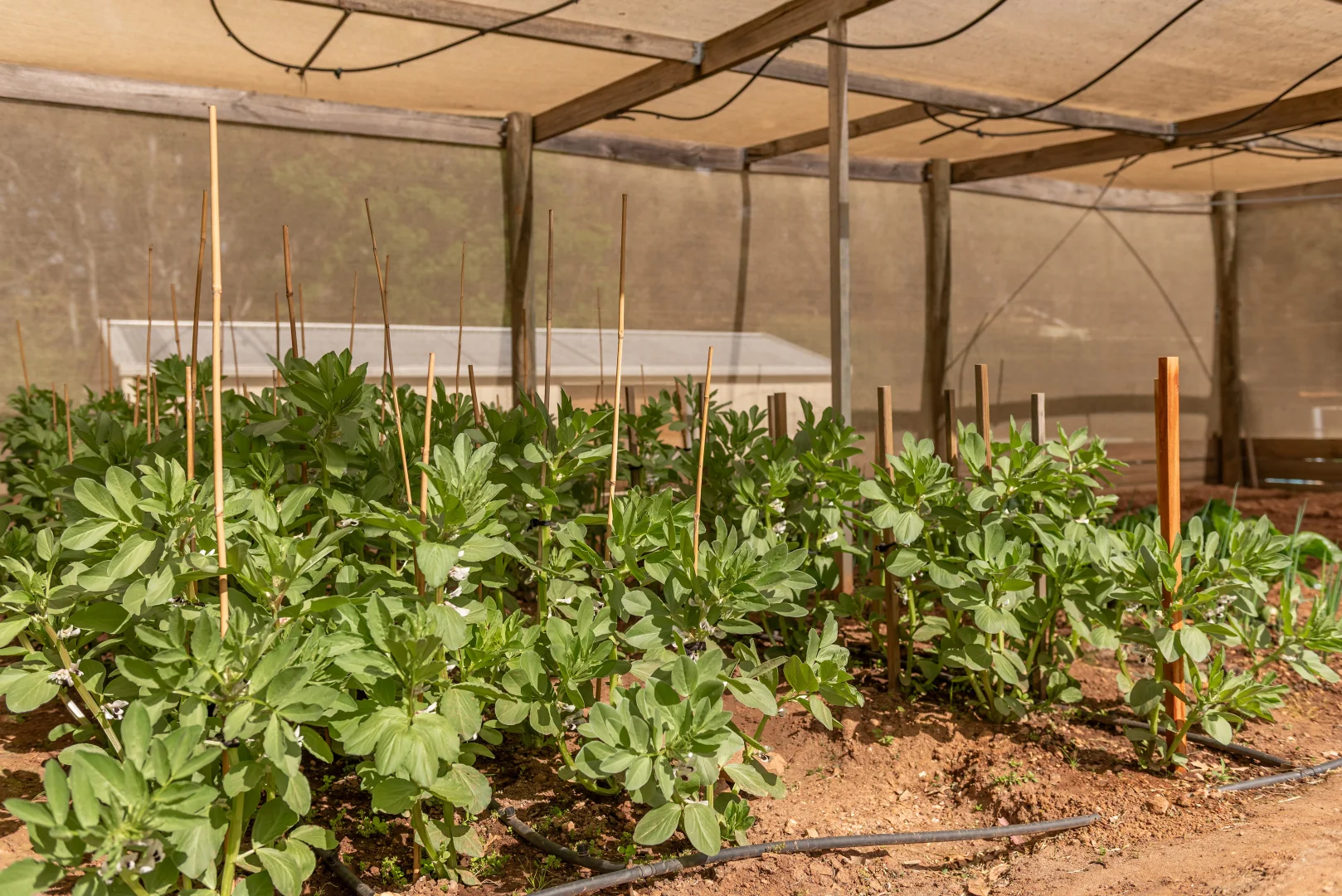 Additional image 18 of 15 Thompsons Lane, Heathcote VIC 3523