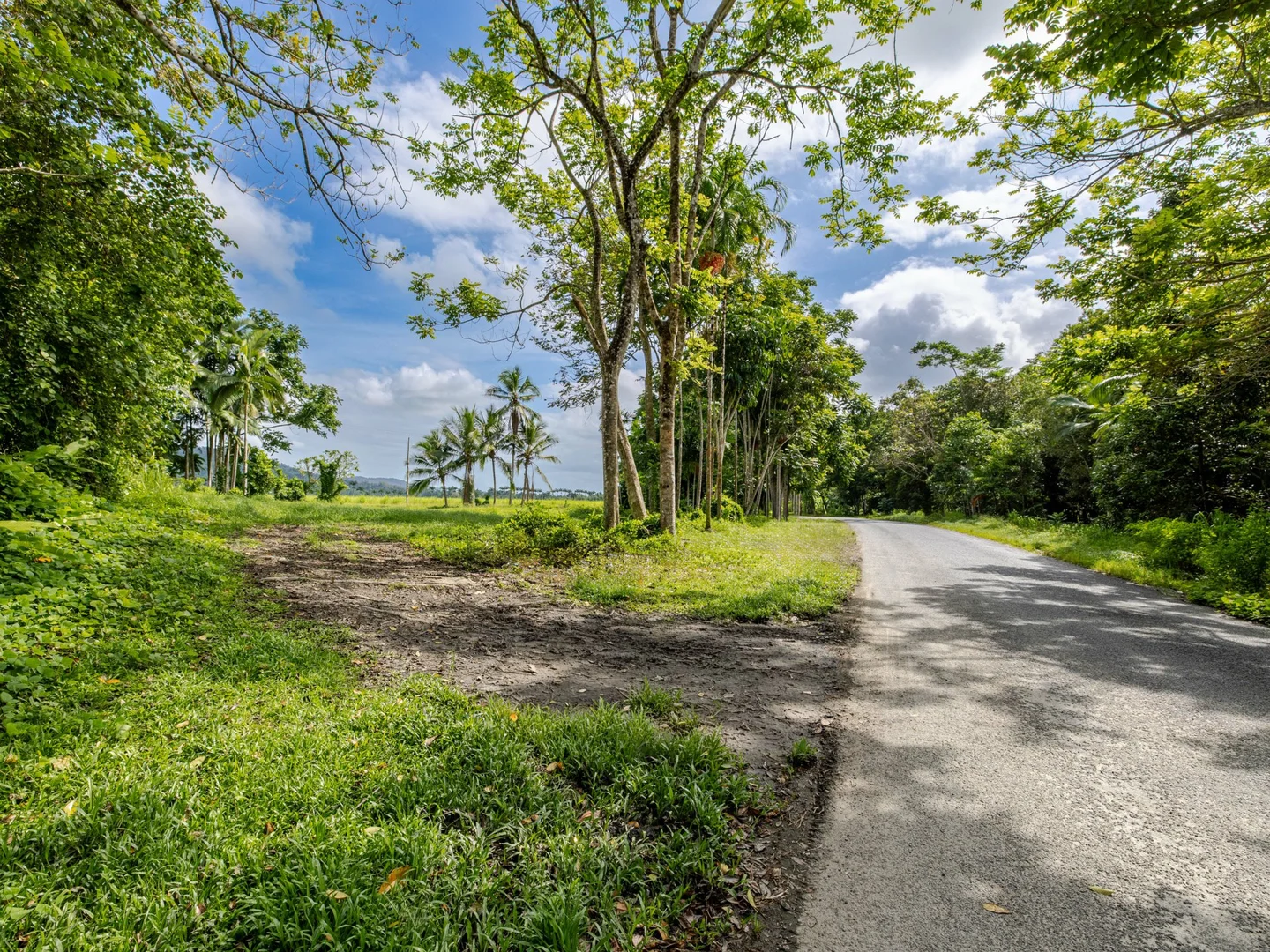 Additional image 4 of 388 Finlayvale Road, Finlayvale QLD 4873