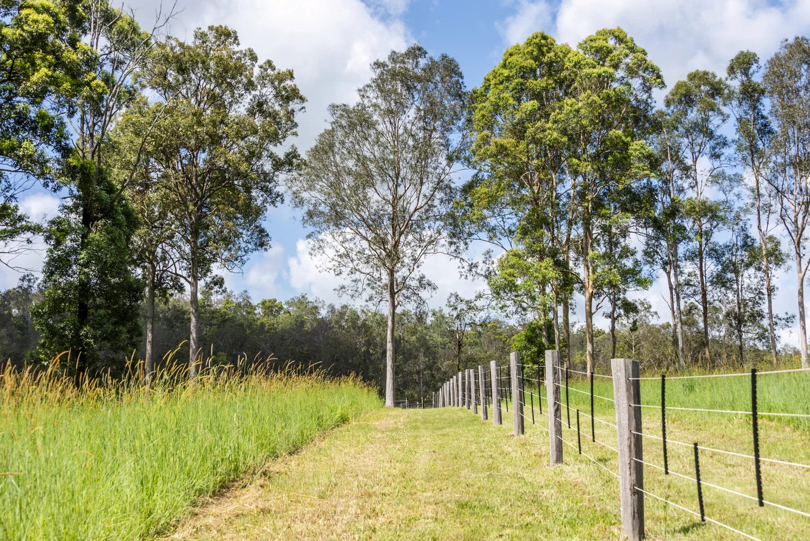 Additional image 31 of 240 Keefton Road, Woondum QLD 4570