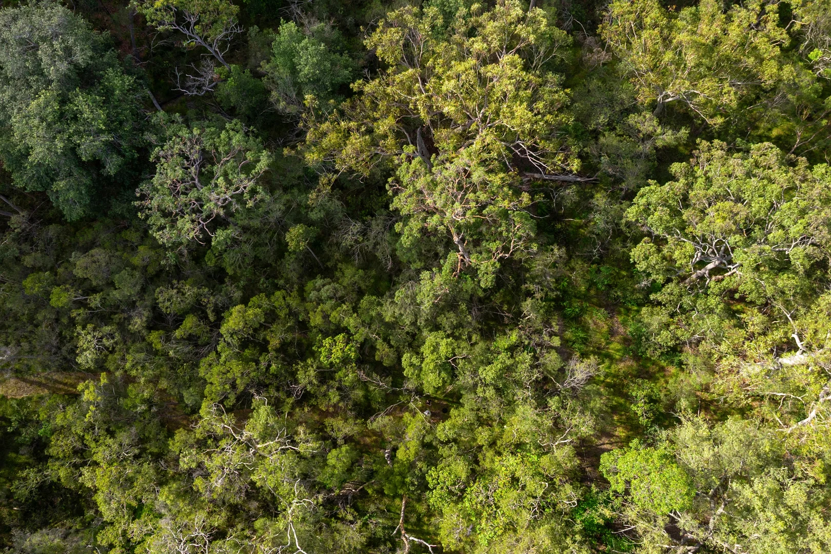 Additional image 13 of 40 Lakewood Drive, Peregian Beach QLD 4573