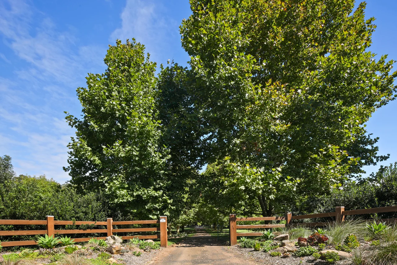 Additional image 30 of 1235 West Portland Road, Lower Portland NSW 2756