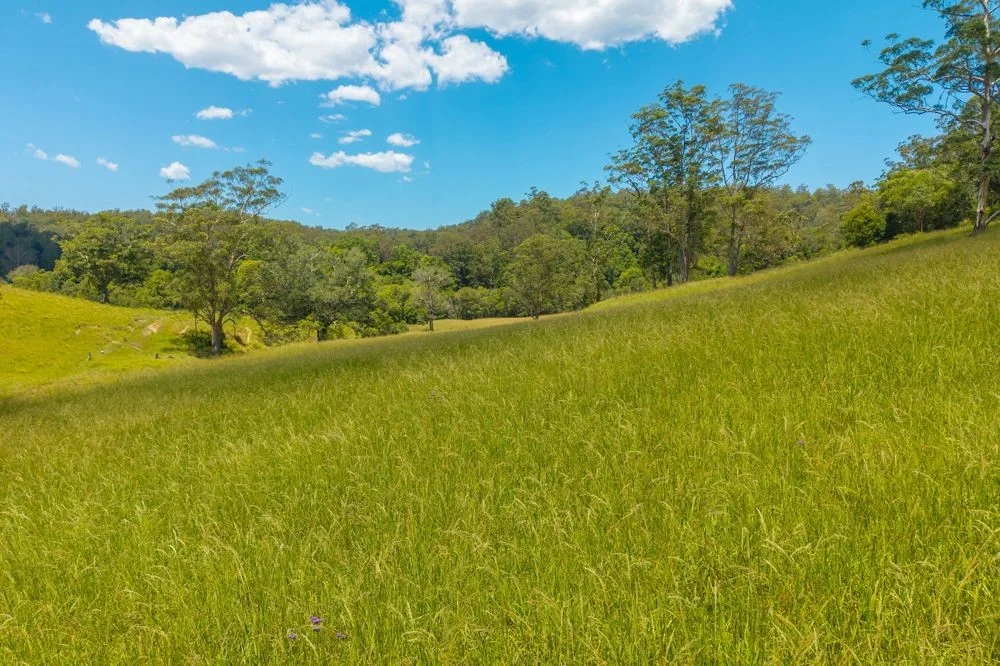 Additional image 2 of 486 North Branch Rd, Upsalls Creek NSW 2439