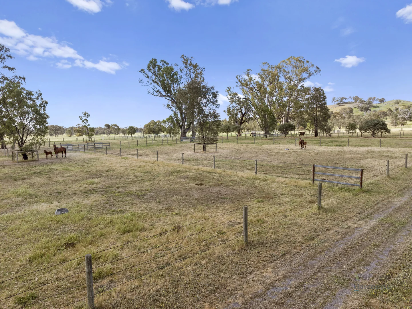 Additional image 23 of 778 Sheans Creek Road, Euroa VIC 3666