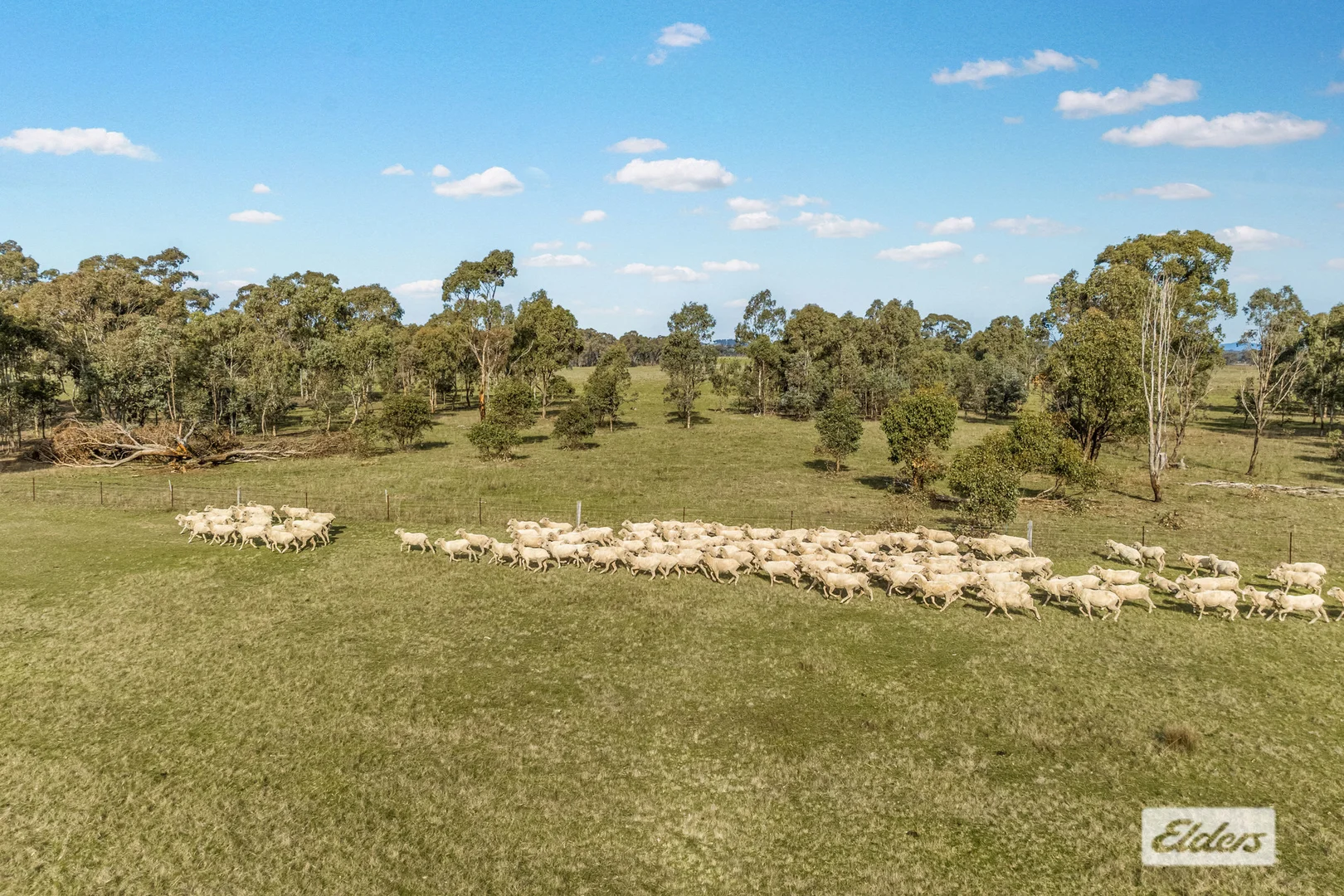 Additional image 17 of 319 Hoods Lane, Moormbool West VIC 3523