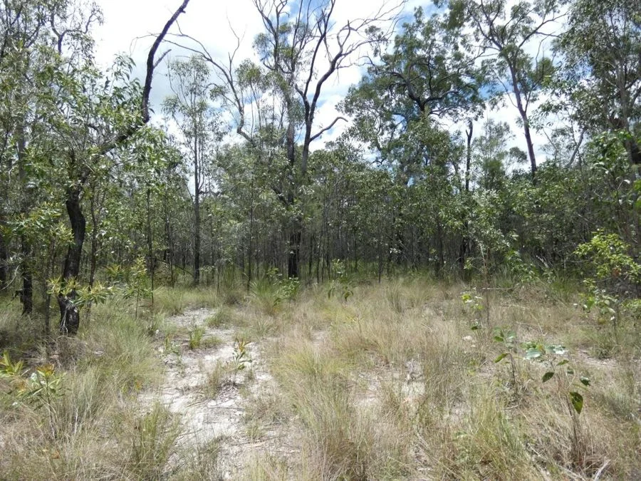 Additional image 7 of 668 Matchbox Road, Deepwater QLD 4674