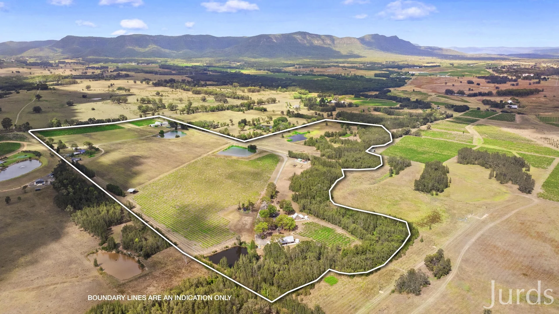 Additional image 26 of 223 Deasys Road, Pokolbin NSW 2320