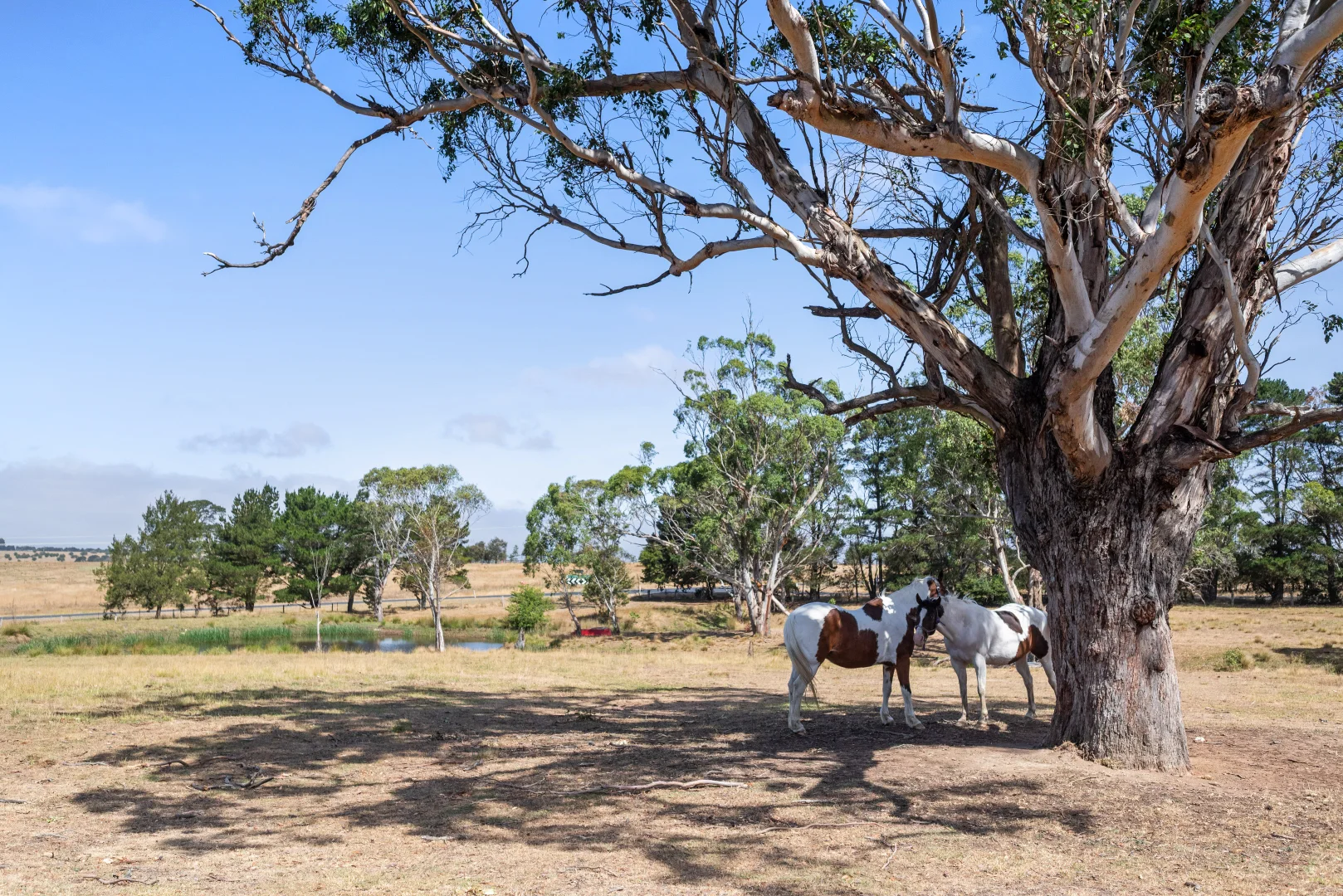 Additional image 18 of 12 Cooma Road, Braidwood NSW 2622