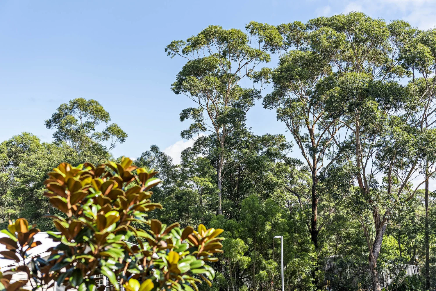 Additional image 16 of 85/1 Norman Street, Lake Conjola NSW 2539