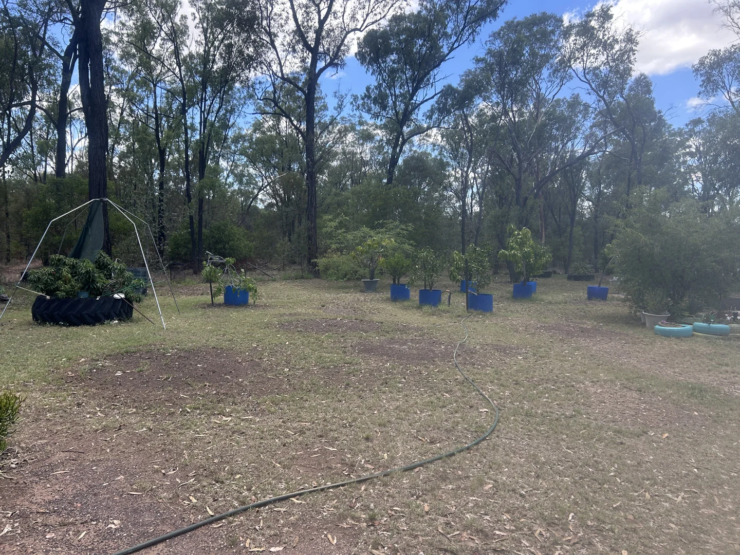 Additional image 21 of 1168 Males Drive, Tara QLD 4421