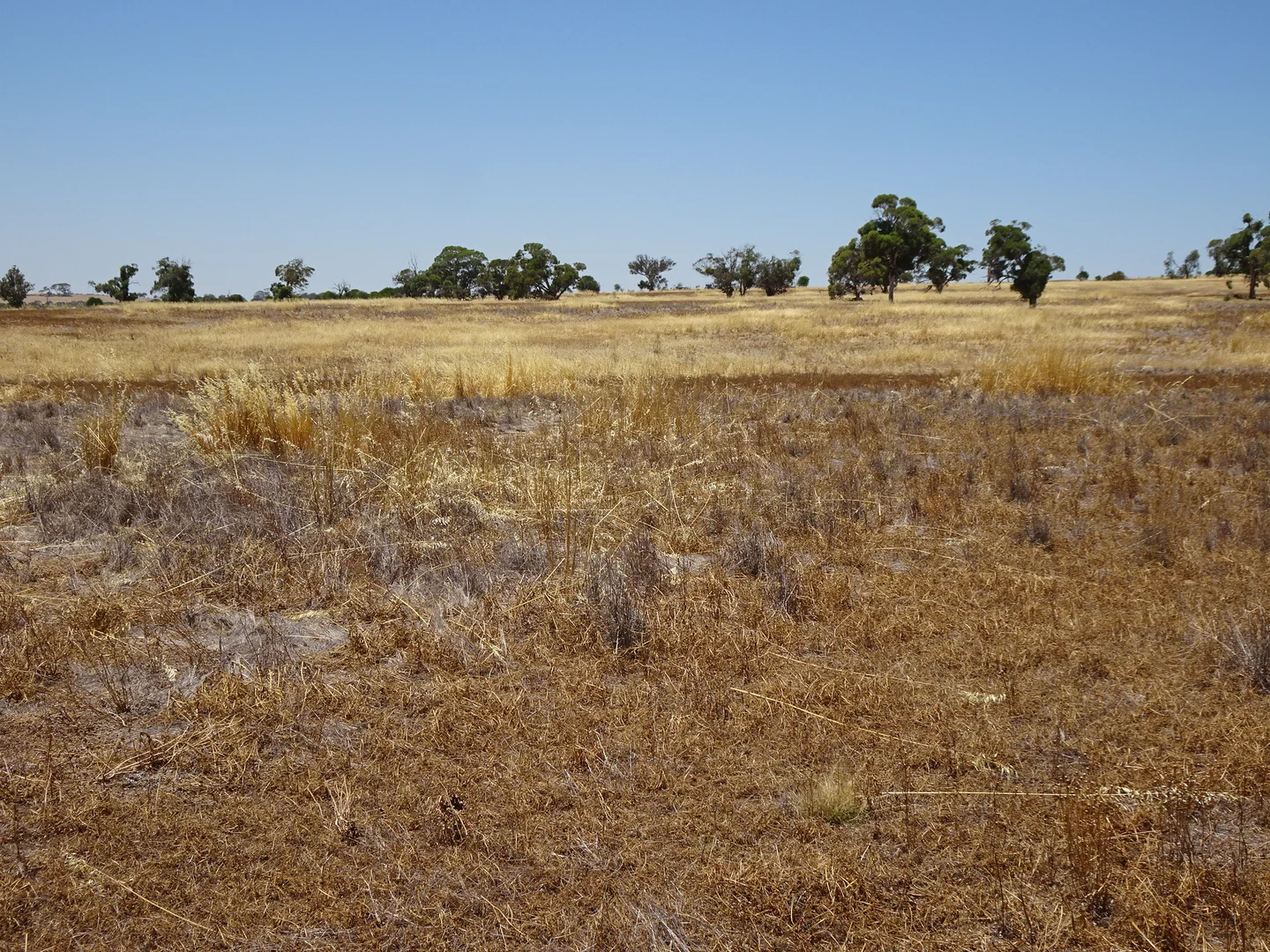 Additional image 16 of 160 Chittleborough Road, Brookton WA 6306