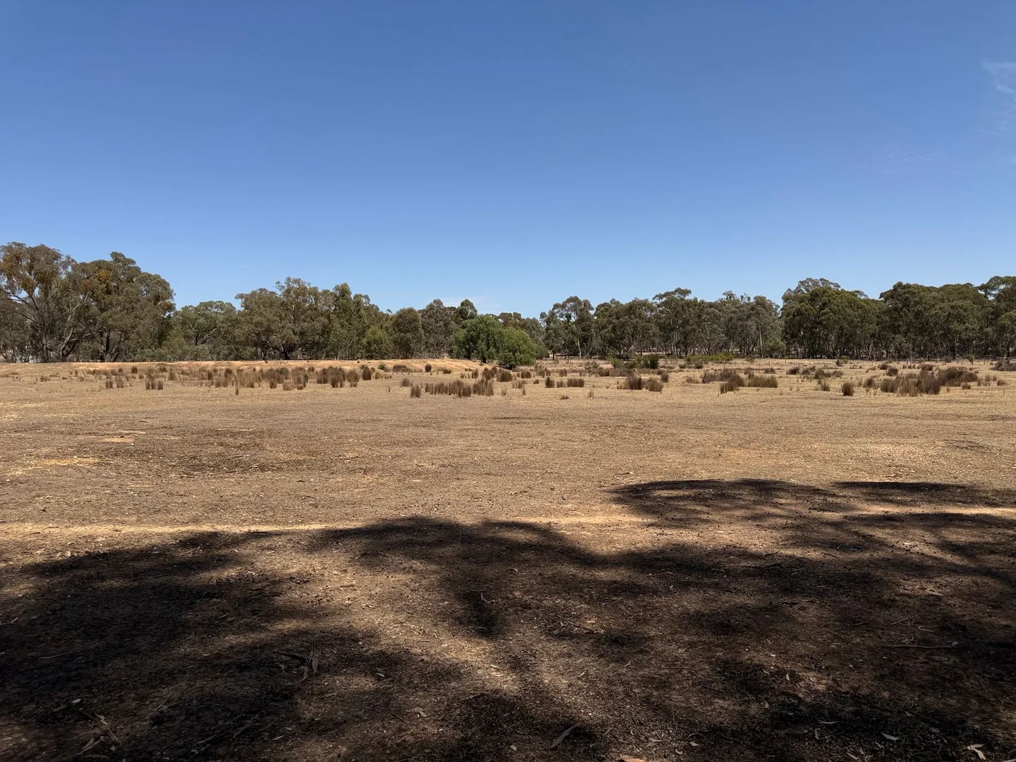 Additional image 26 of 18 Rowes Lane, Bowenvale VIC 3465