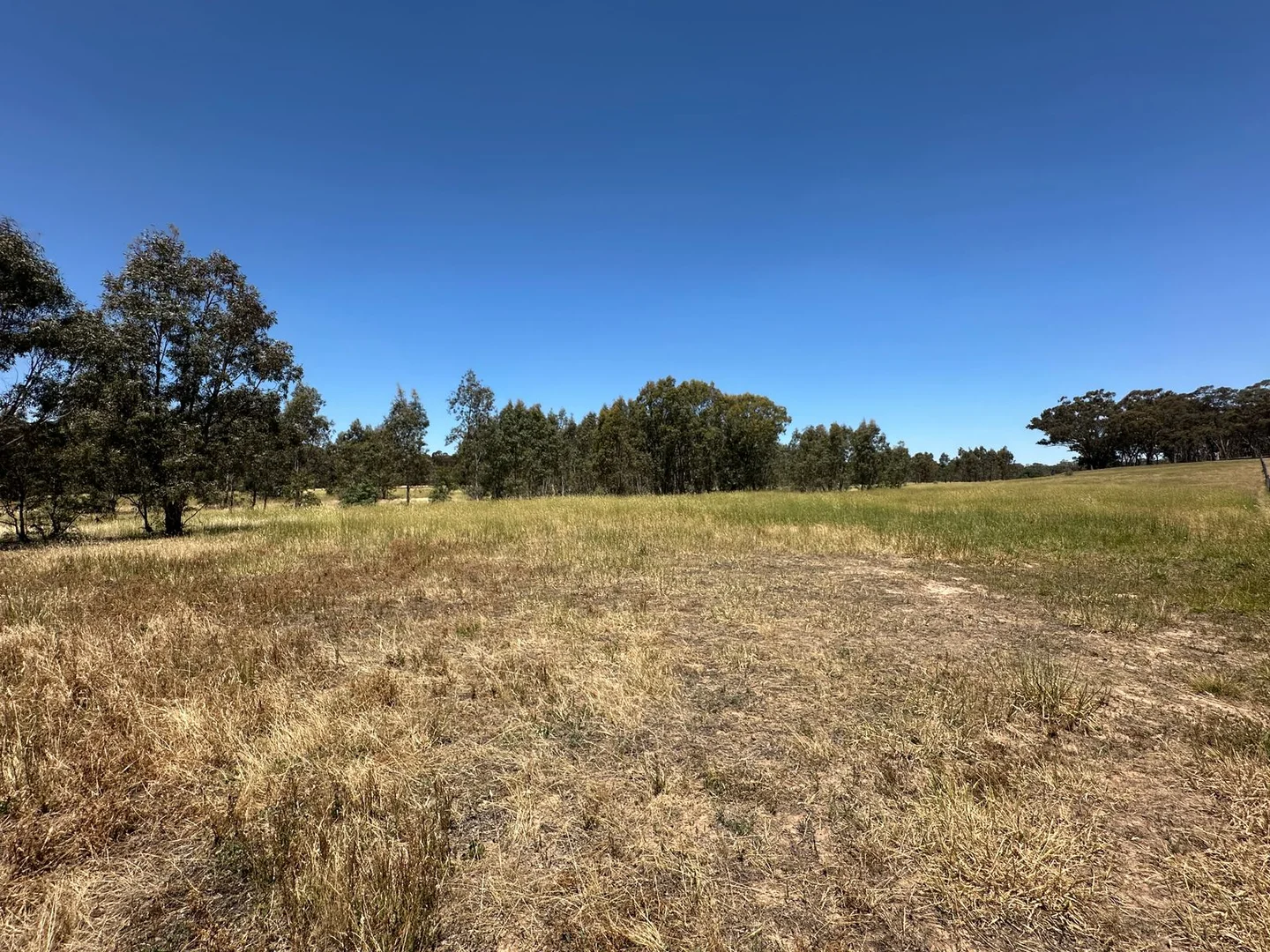 Additional image 4 of CA 58 Sec 9 Nesbit Road, Majorca VIC 3465