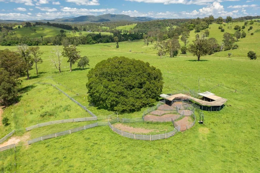 Additional image 26 of 310 Yessabah Road, Yessabah NSW 2440