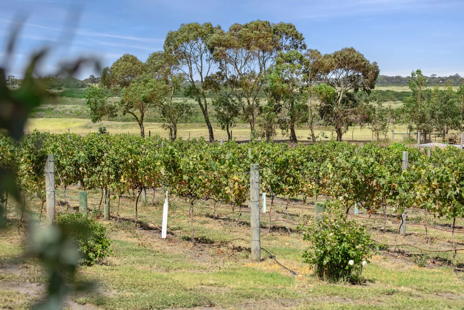 Additional image 24 of 41-99 Island Road, Wallington VIC 3222