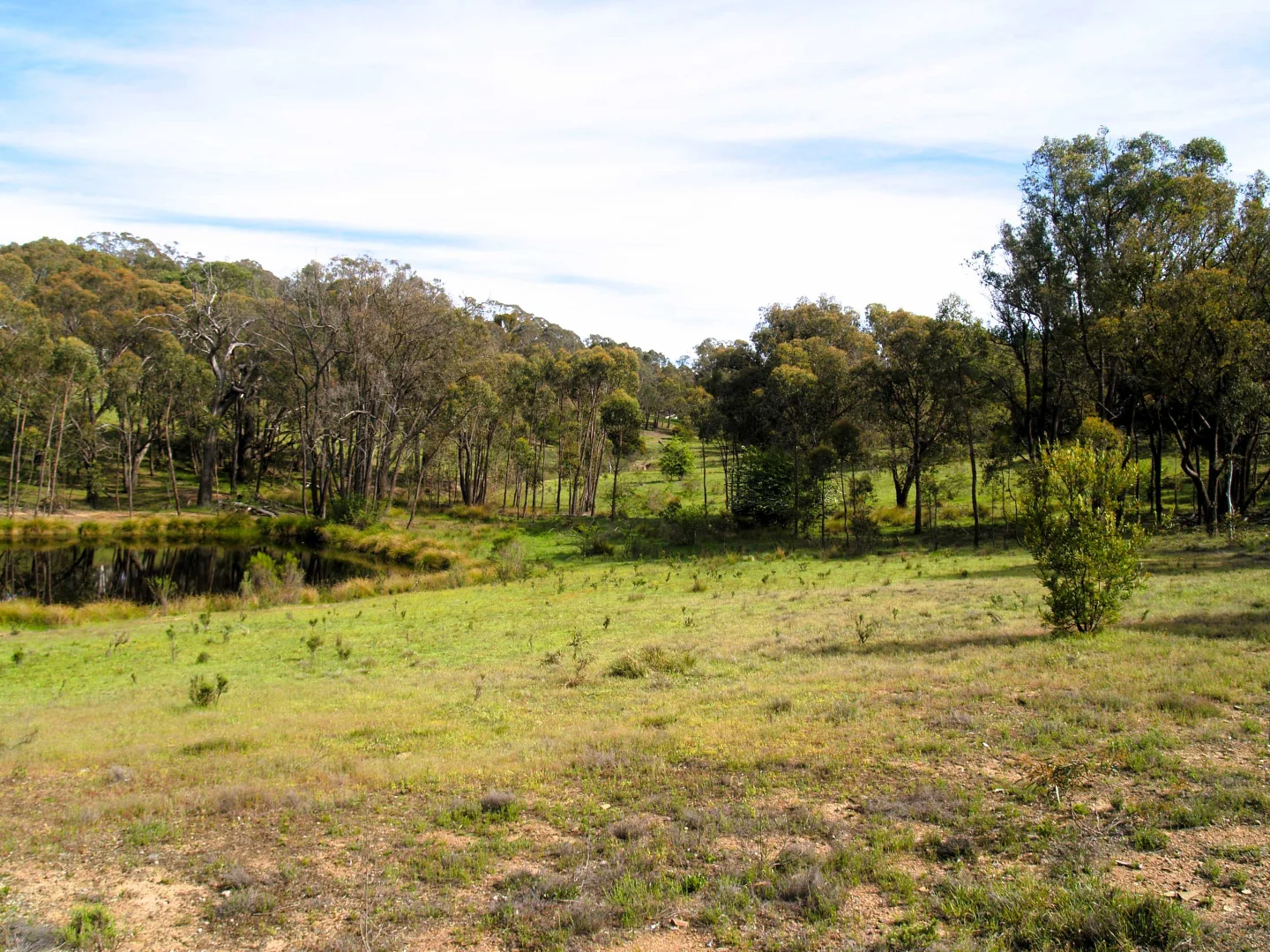 Additional image 13 of 198 Wurungul Lane, Gundaroo NSW 2620