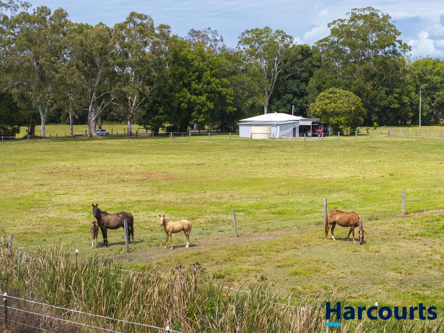 Additional image 59 of 406 Old Bagotville Road, Bagotville NSW 2477