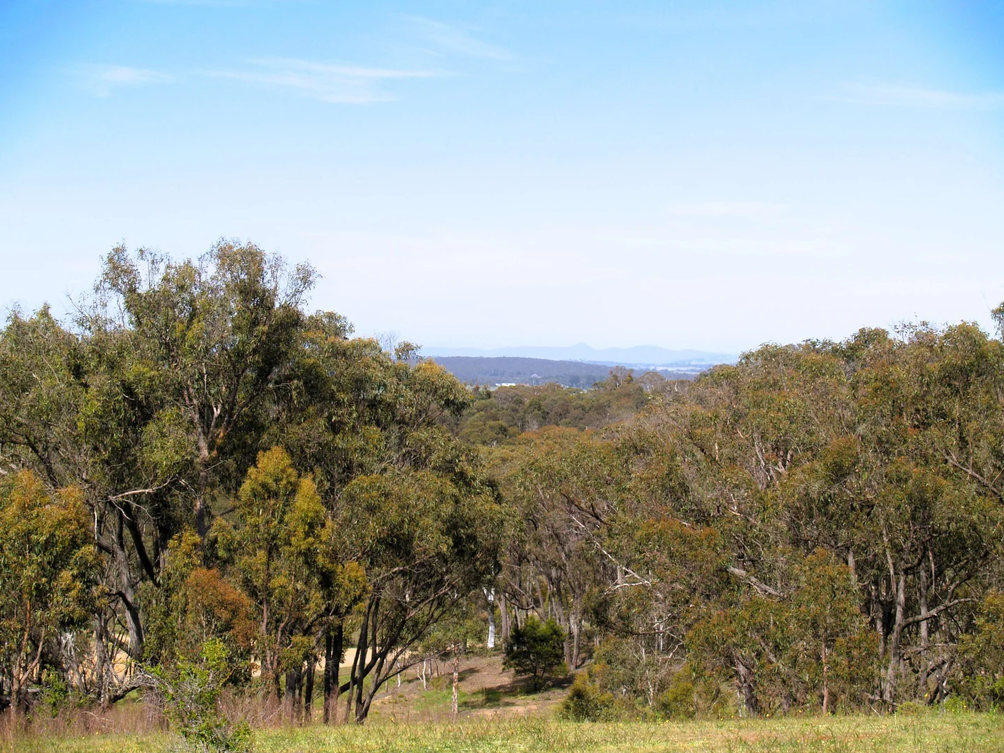 Additional image 10 of 198 Wurungul Lane, Gundaroo NSW 2620