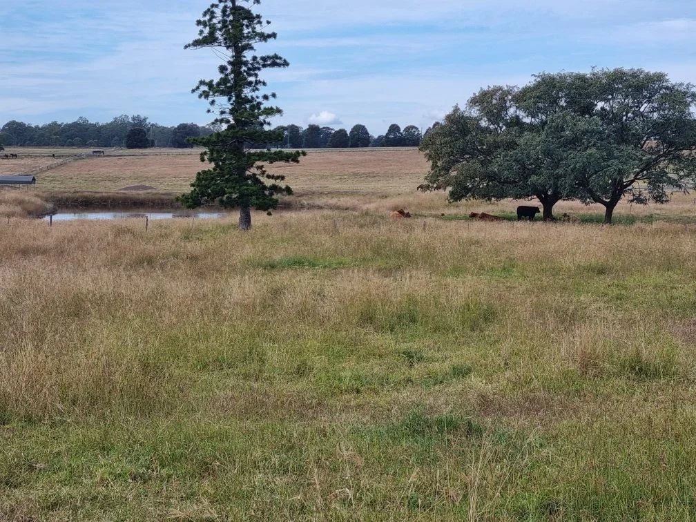 Additional image 4 of 167 Linnings Rd, Haigslea QLD 4306