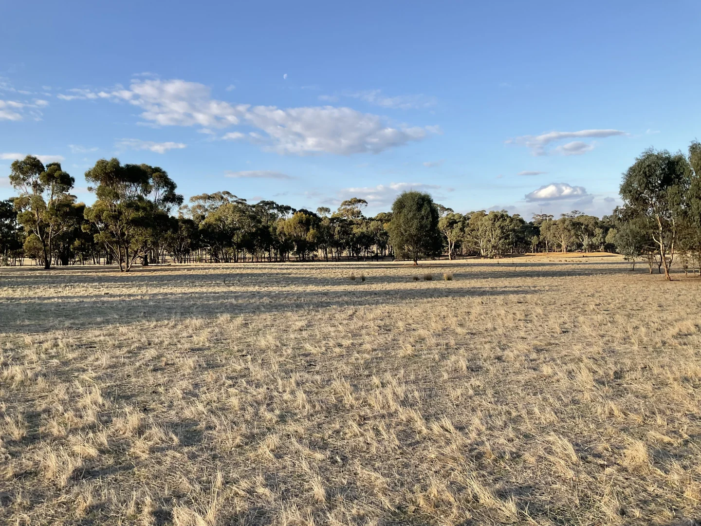 Additional image 9 of Rocky Ridge Road, Carapooee VIC 3477