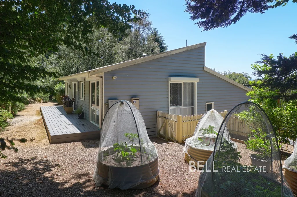 Additional image 15 of 74 Beenak Road, Gembrook VIC 3783