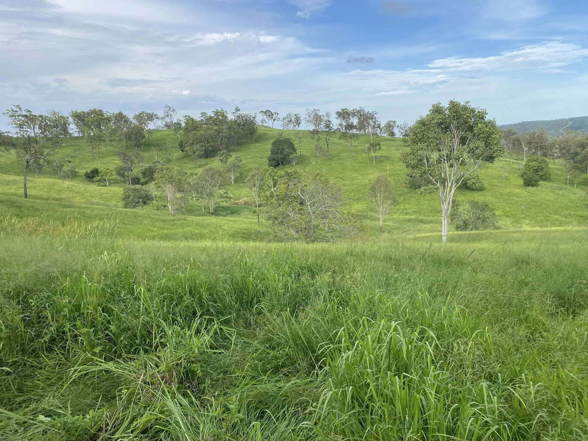 Additional image 8 of 558 Marlborough-Sarina Road, Sarina QLD 4737