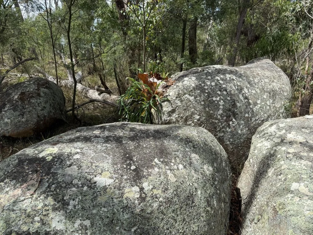 Additional image 7 of Lot 35 Pradella Road, Pozieres QLD 4352