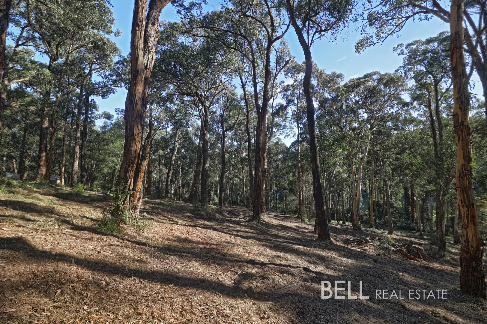 Additional image 2 of 33 Selby Aura Road, Menzies Creek VIC 3159