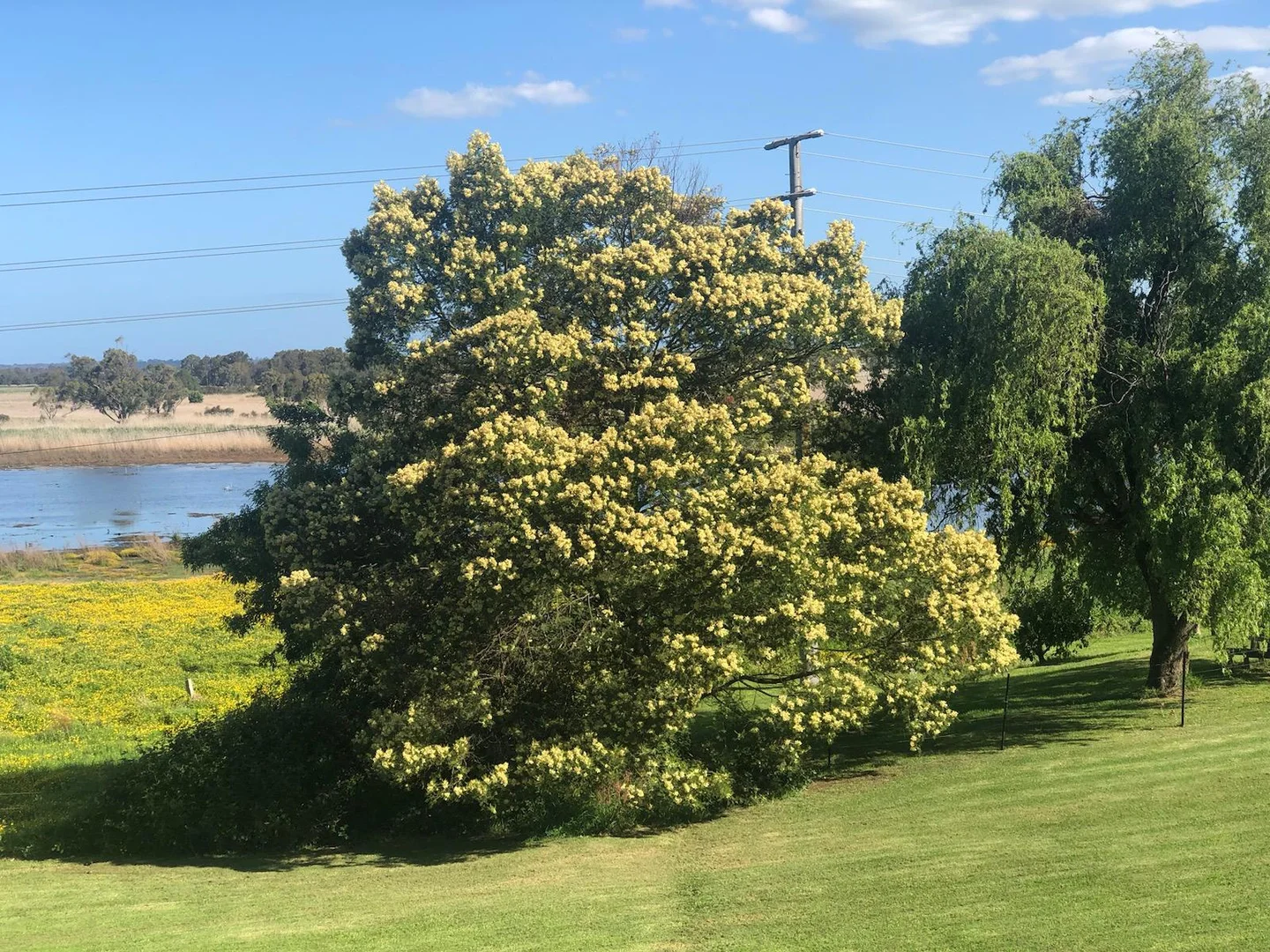 Additional image 6 of 20 Power Street, Bairnsdale VIC 3875