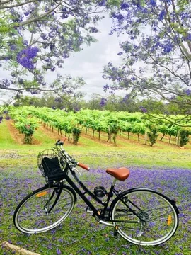 Additional image 11 of 725 Hermitage Road, Pokolbin NSW 2320