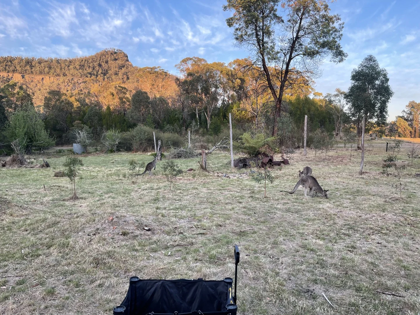 Additional image 2 of Lot 18 Kerry Street, Yerranderie NSW 2787