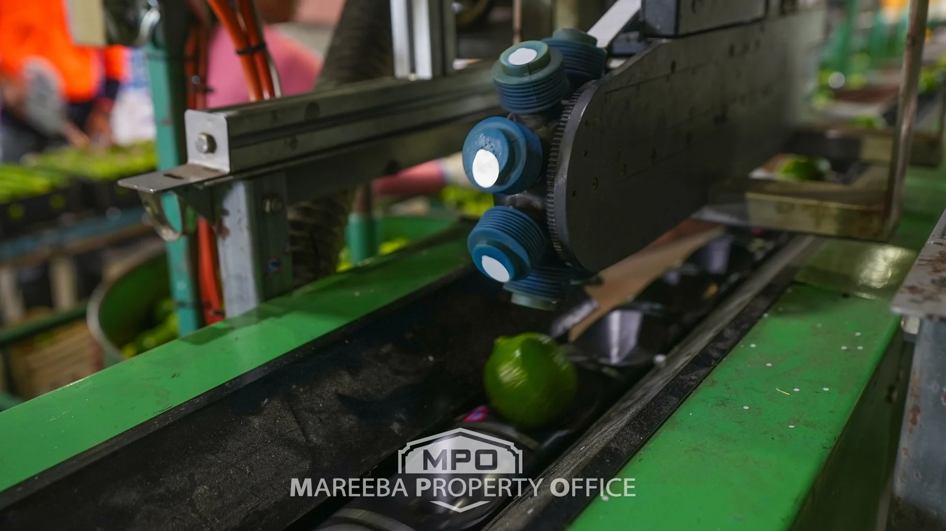 Additional image 14 of 4283 Kennedy Highway, Mareeba QLD 4880