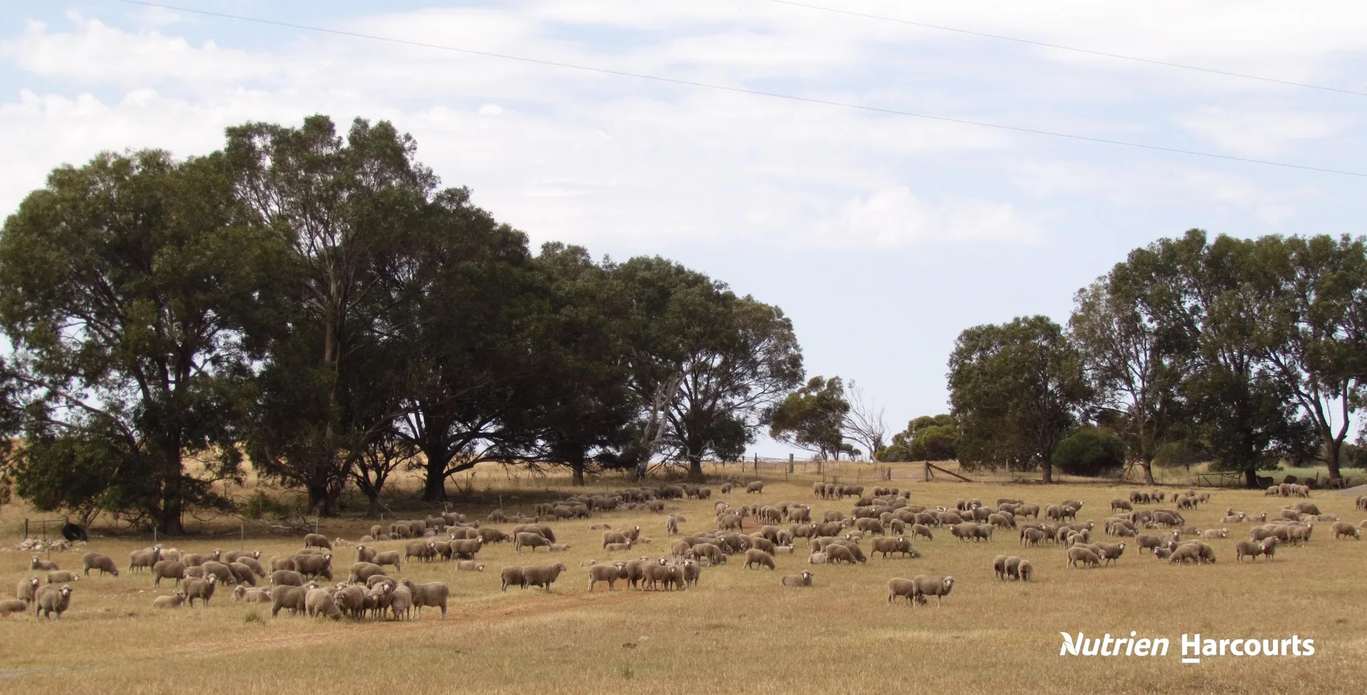 Additional image 29 of 40 Matsen Road, Dongara WA 6525