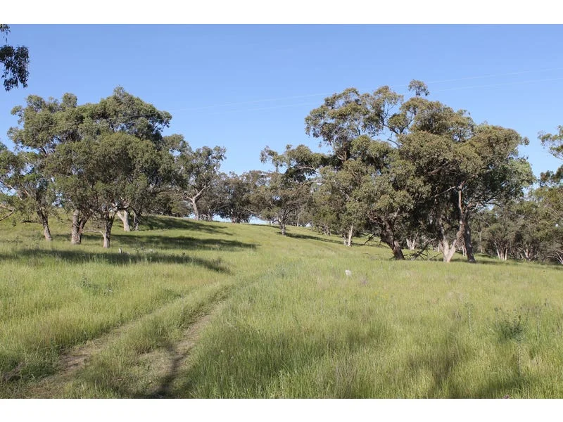 Golden Highway, Cassilis NSW 2329