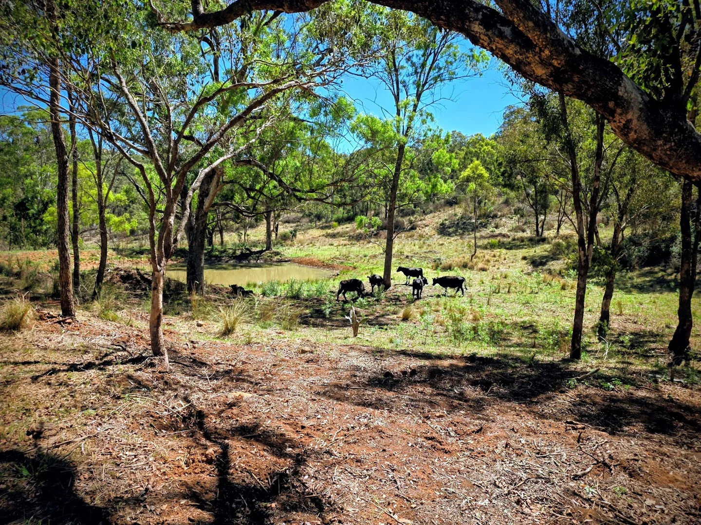 Additional image 27 of 448 Groomsville Road, Geham QLD 4352