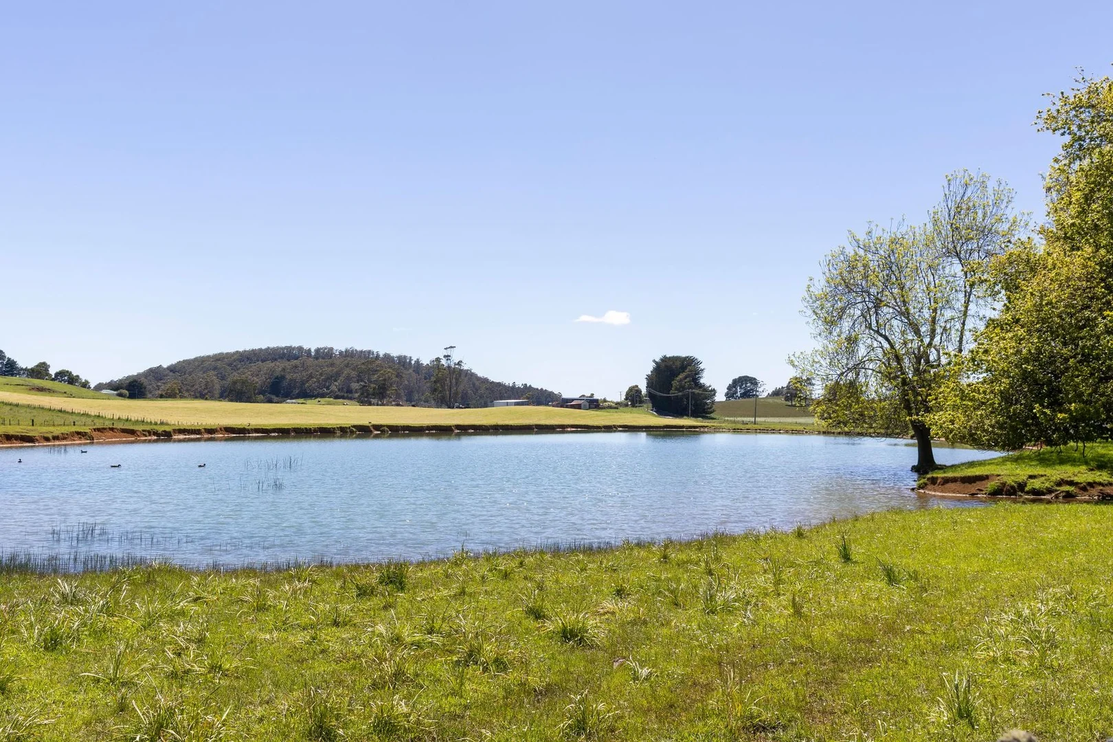 Additional image 8 of 1532 Preston Road, Preston TAS 7315