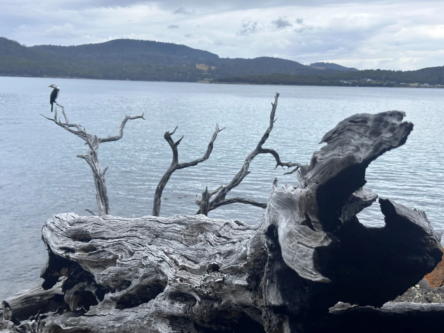 Additional image 33 of 36 Spaulding Street, White Beach TAS 7184