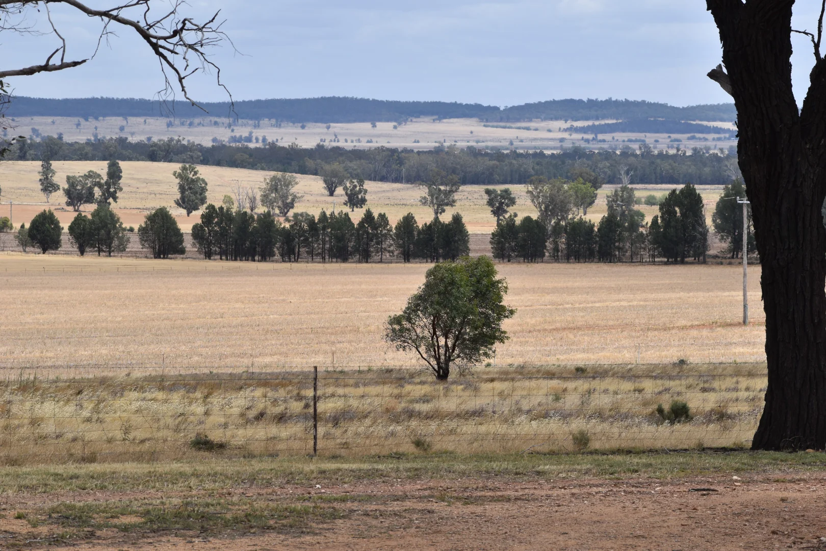 Additional image 25 of 76 Kerrs Lane, Caragabal NSW 2810