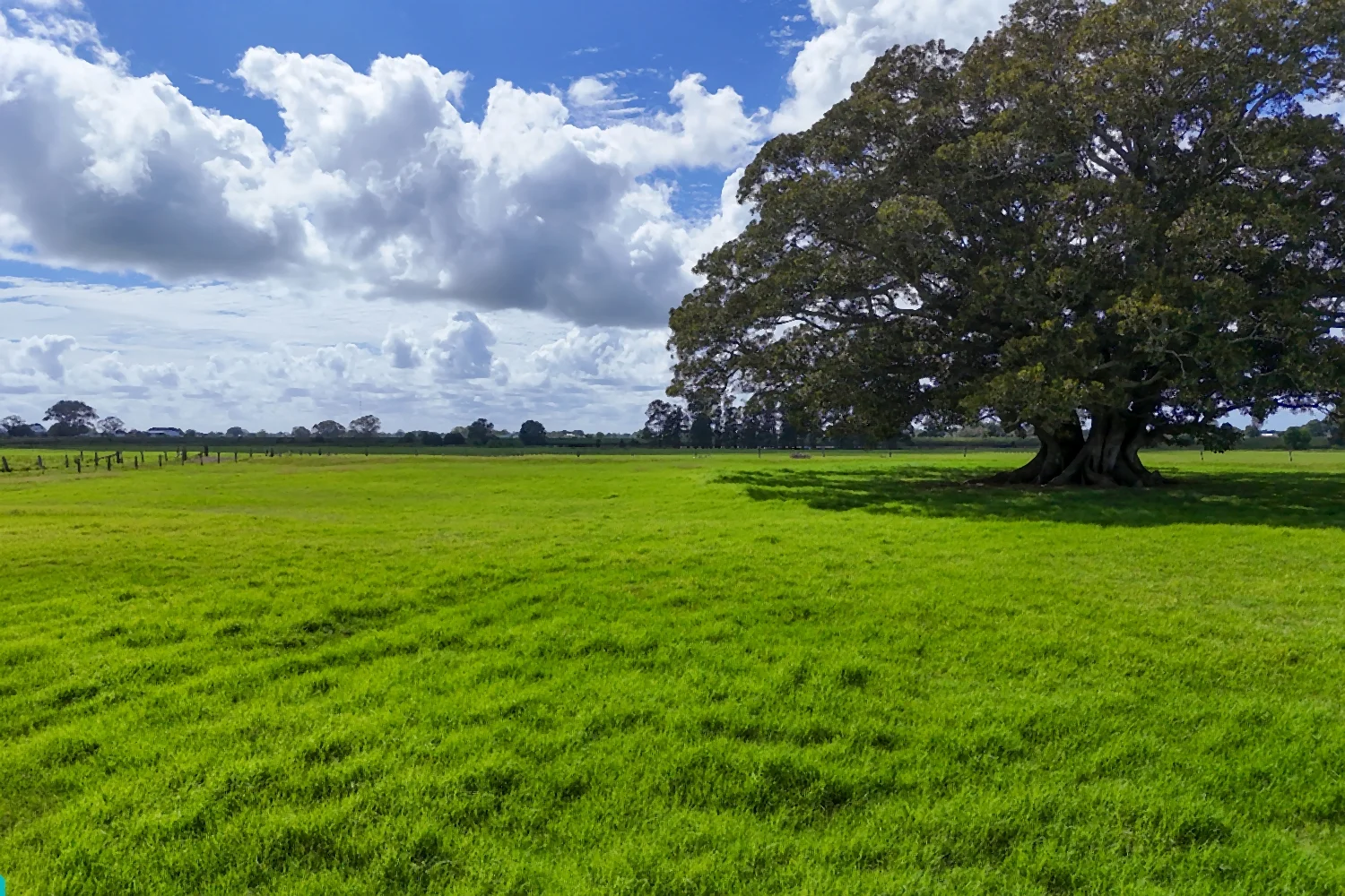 Additional image 25 of 1110 Macleay Valley Way, Bellimbopinni NSW 2440