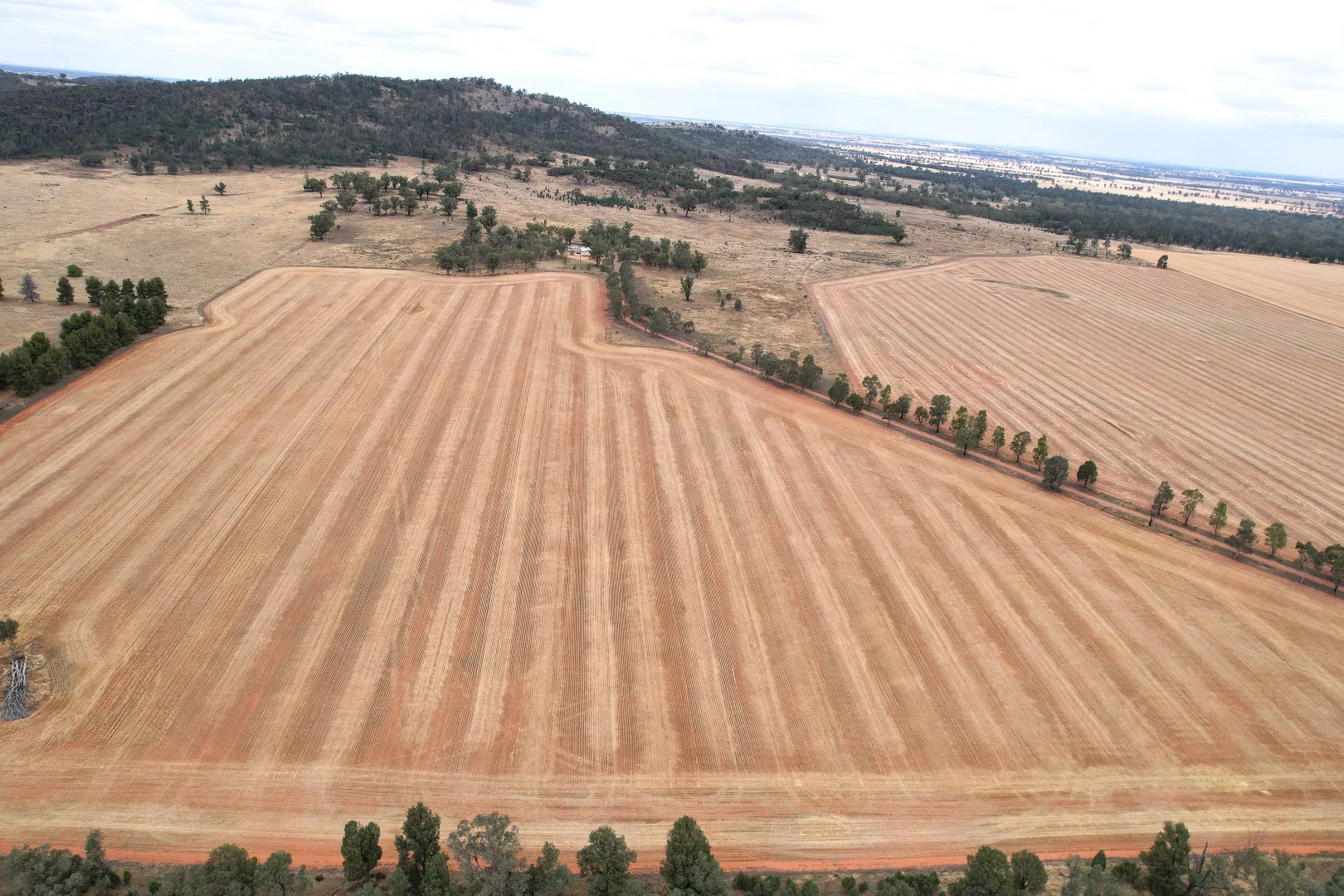 Additional image 26 of 76 Kerrs Lane, Caragabal NSW 2810