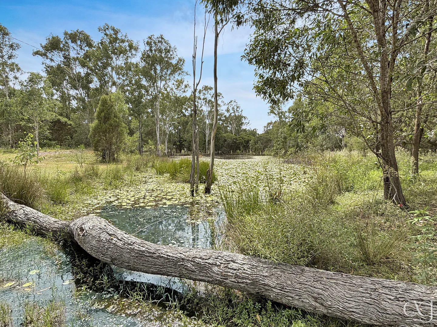 Additional image 38 of 91 Goebels Road, Mutdapilly QLD 4307