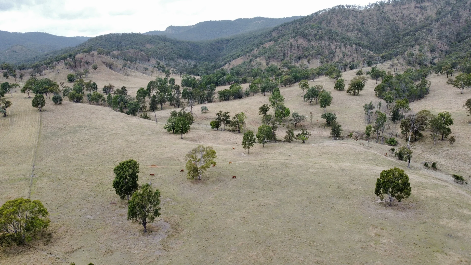 Additional image 29 of 4900 Tableland Road, Tablelands QLD 4680