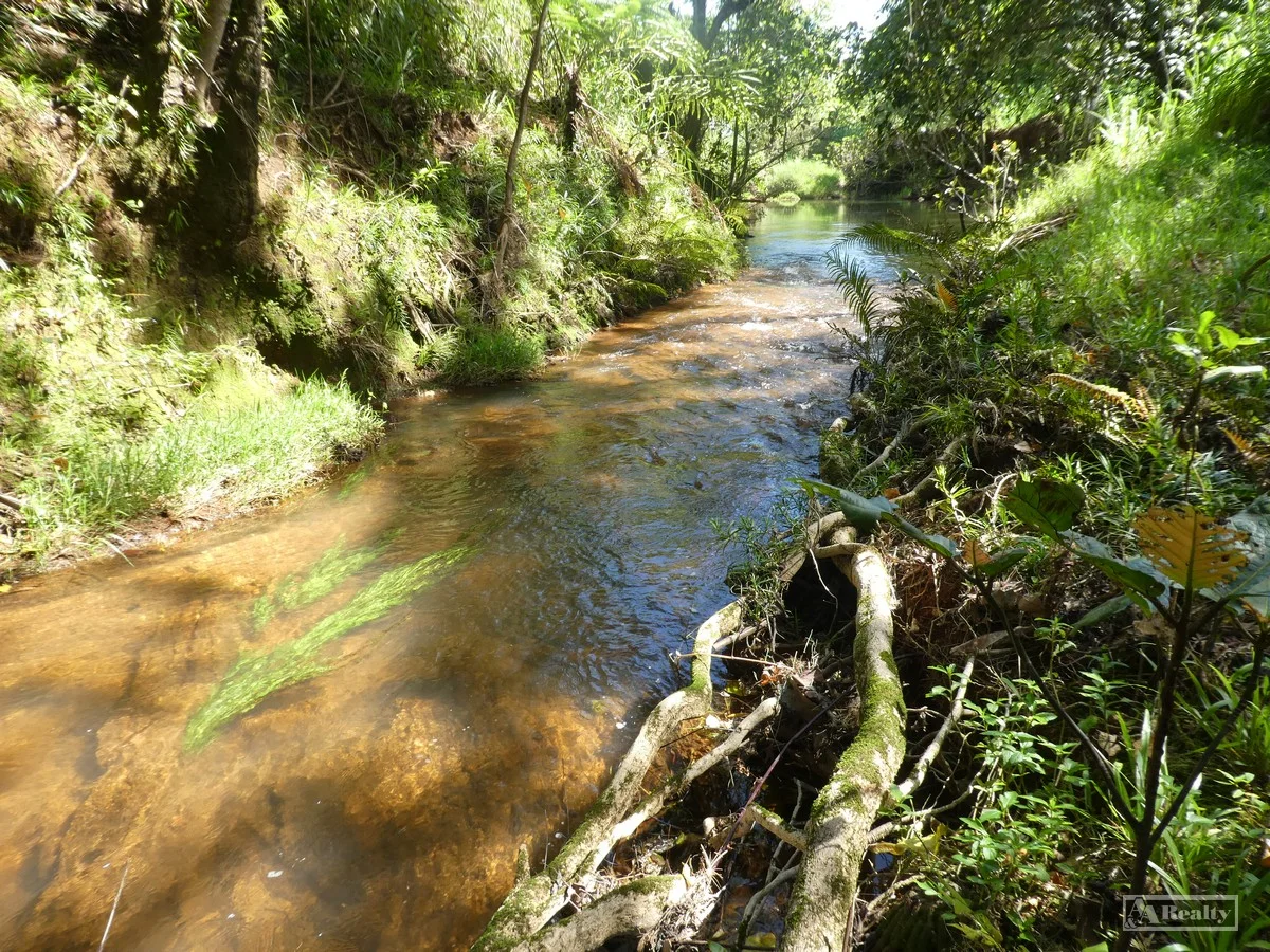 Additional image 3 of L 18 Camarlinghi Road, Daradgee QLD 4860