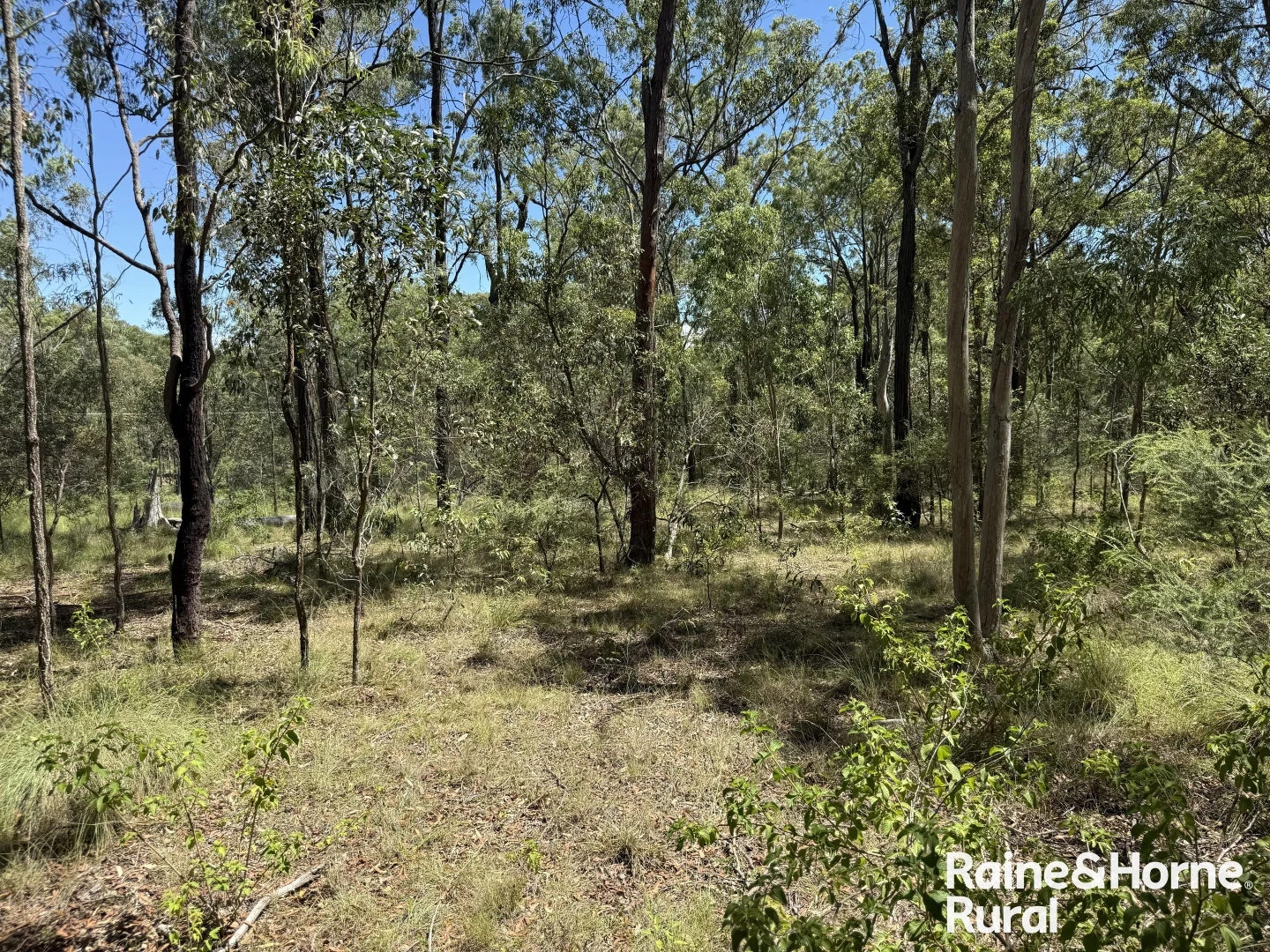 Additional image 11 of Lot 158 Brocklehurst road, Wattle Camp QLD 4615