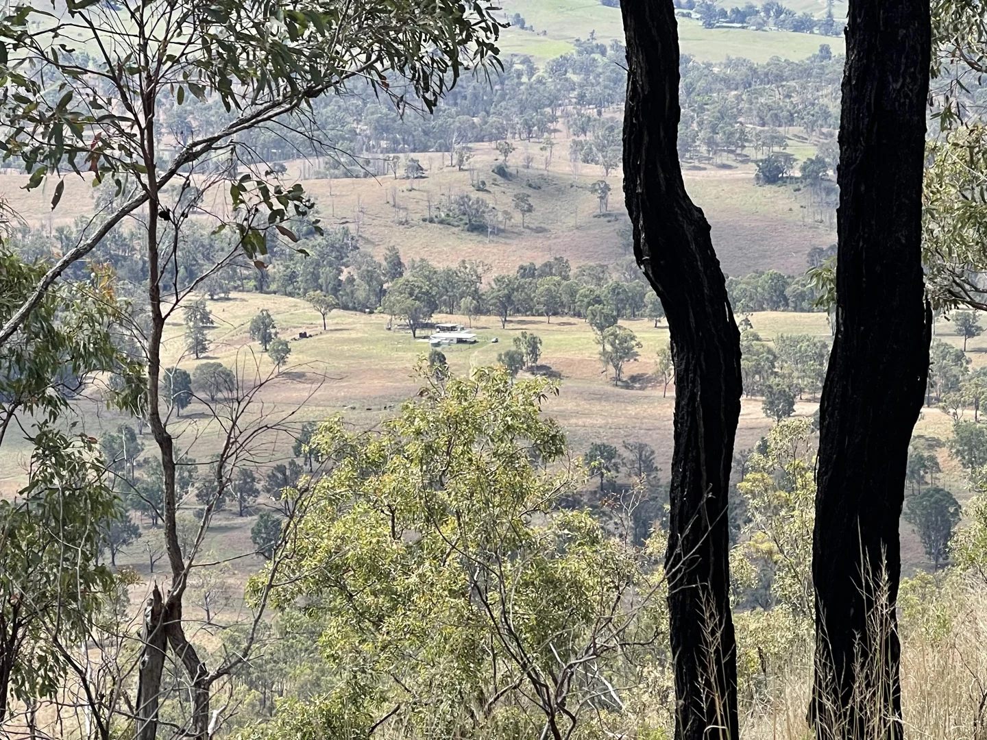 Additional image 26 of 4900 Tableland Road, Tablelands QLD 4680