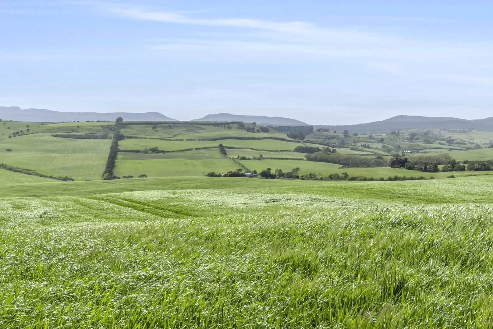 Additional image 5 of . White Hills Road, White Hills TAS 7258