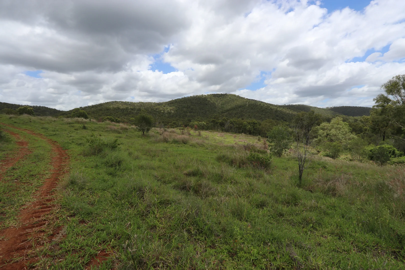 Additional image 11 of 890 Boulder Creek Rd, Boulder Creek QLD 4714
