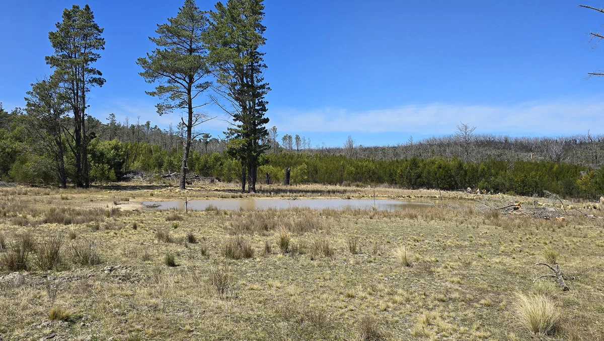 Additional image 9 of 8422 Nerriga Road, Tomboye NSW 2622