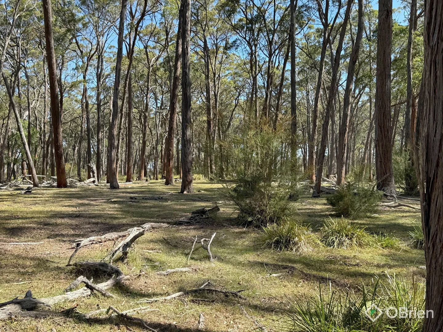 Additional image 17 of Sinclairs Road, Munro VIC 3862